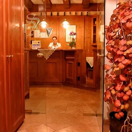 酒店 Stella Alpina 3*