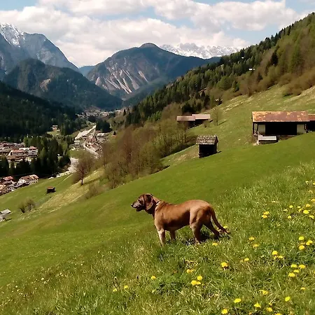 Stella Alpina 3* 圣皮耶特罗迪卡多雷